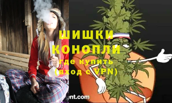 спайс Няндома