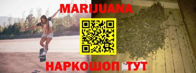 гидра Будённовск