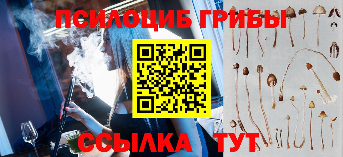 Псилоцибиновые грибы GOLDEN TEACHER  Псилоцибиновые грибы MAGIC MUSHROOMS  Вход с VPN  Десногорск 